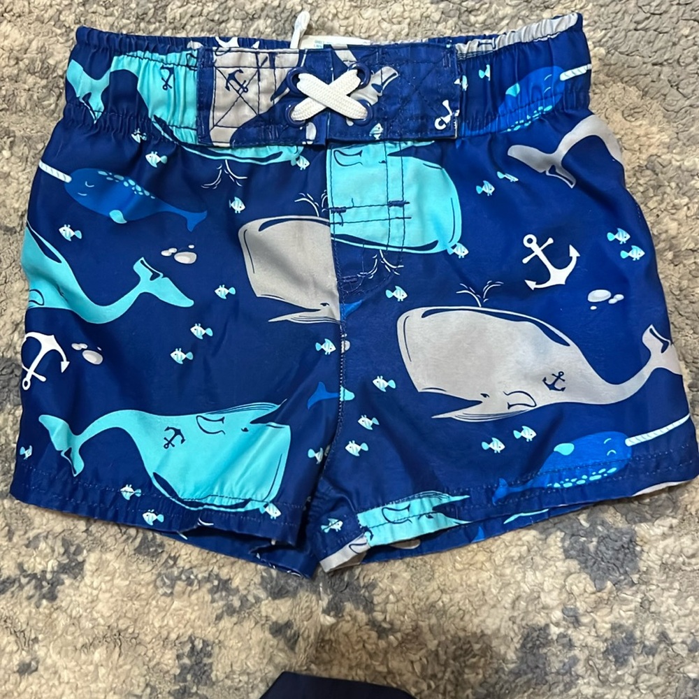 9M Whale Swimsuit